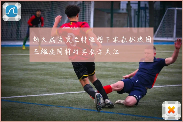热火成为莫兰特理想下家森林狼国王雄鹿同样对其表示关注
